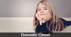 Domestic Carpet